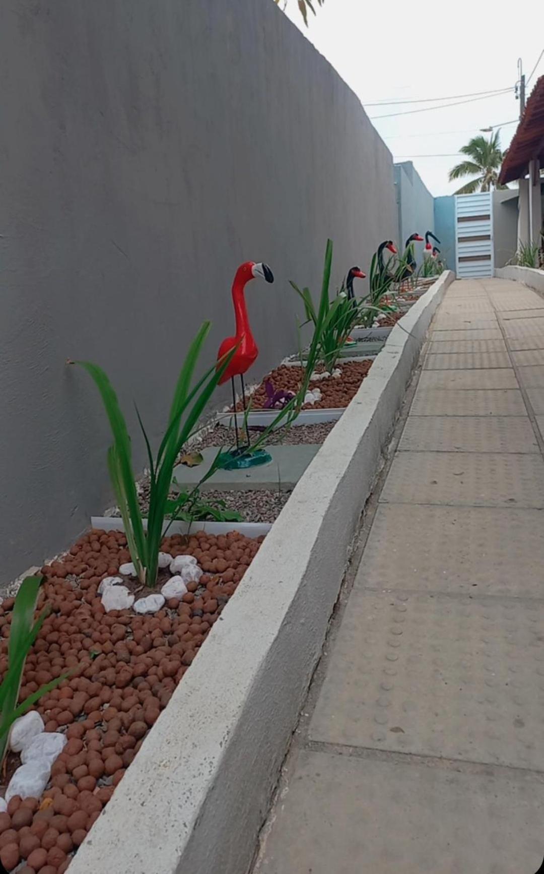 Villa Velha Flats Ilha de Itamaraca Bagian luar foto